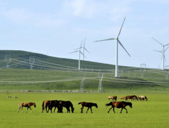 國網(wǎng)董事長辛保安: 預計2030年風光發(fā)電裝機將超煤電 達.