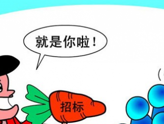 江西省新建區重點水域禁捕視頻監控項目電子化公開招標公告
