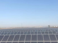光伏界的傳奇：隆基、晶澳、天合又雙叕創新高！